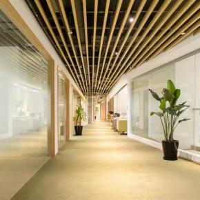 Shanghai Office Project