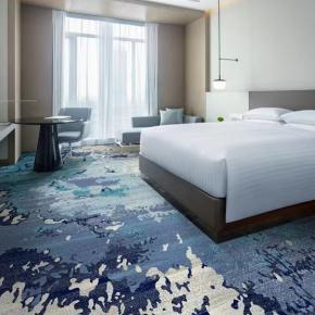 Hotel Guestroom Nylon Printed Carpet -NY05