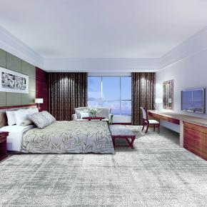 Wilton Carpet For Hotel Guestroom-YDW14