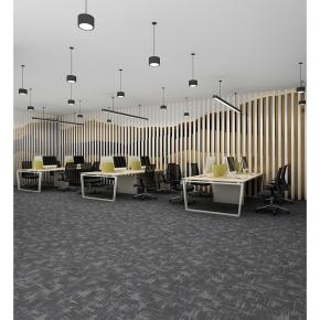 Customize Office Nylon Printed Carpet Tiles -YNCT04